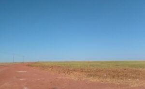 AGRICULTURA DO NORDESTE DO BRASIL